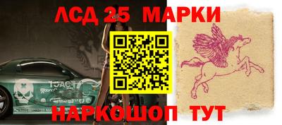 спиды Новодвинск
