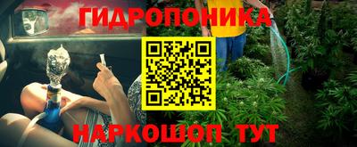 таблы Новозыбков