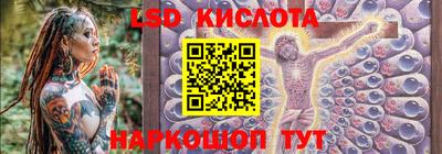 спиды Новодвинск