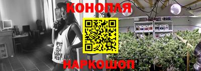 таблы Новозыбков