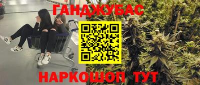 спиды Новодвинск